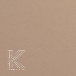 کاپریس 11
