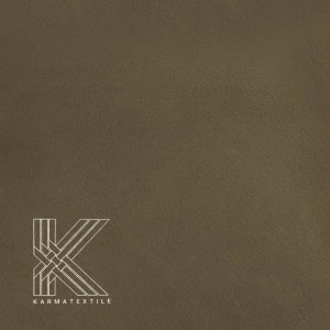 کاپریس 19