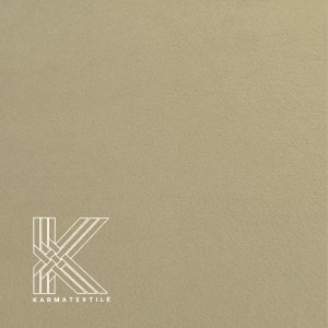 کاپریس 21