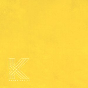 کاپریس 22